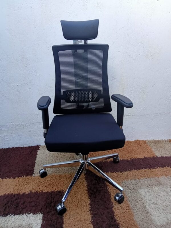 Orthopedic Executive Office Chair - Image 4
