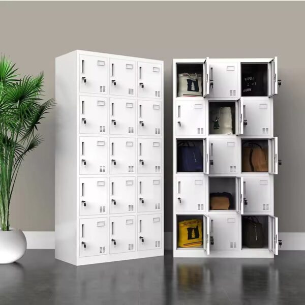 Fifteen STAFF/GYM Lockers Cabinet