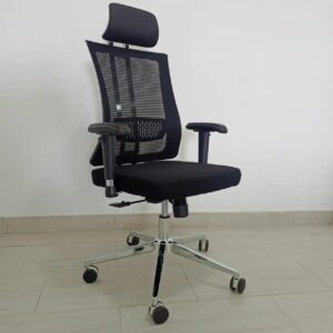 Orthopedic Executive Office Chair