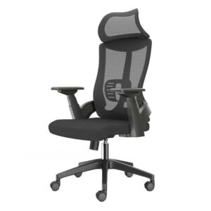 Lama Orthopedic Office Chair