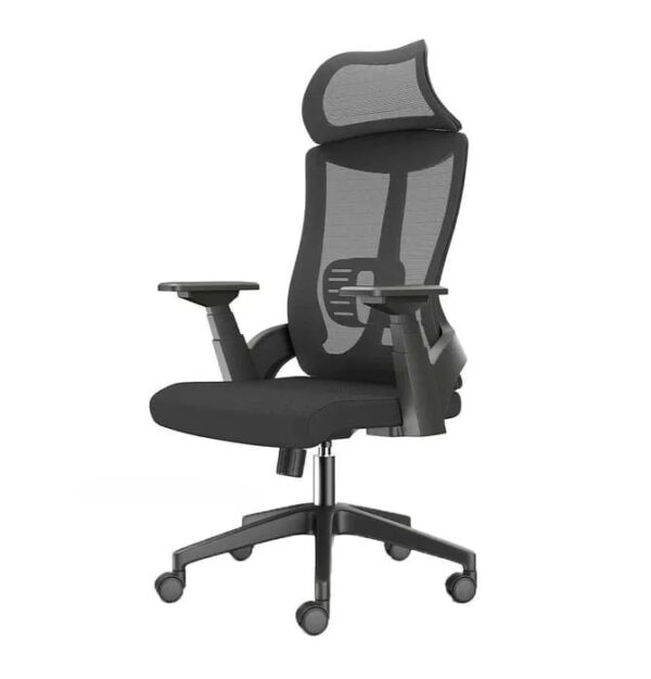 Lama Orthopedic Office Chair