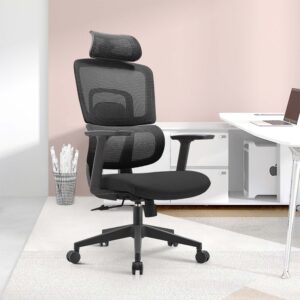 Ergonomic Office Chair