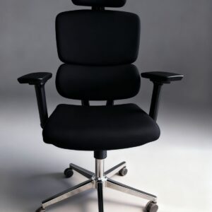 Executive office chair